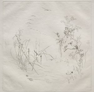 Pařížská služba (služba Haviland): klidná (č. 3) od Felix Bracquemond
