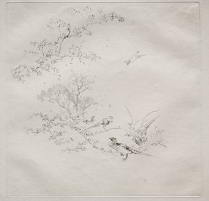 Pařížská služba (služba Haviland): Mlha (č. 1) od Felix Bracquemond