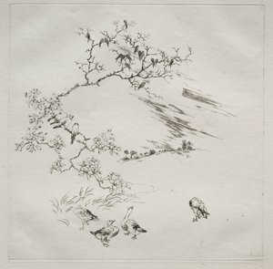 Pařížská služba (služba Haviland): Noční (č. 7) od Felix Bracquemond