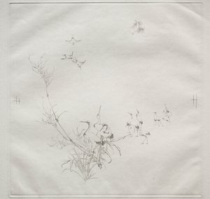 Pařížská služba (služba Haviland): Měsíc (č. 5) od Felix Bracquemond