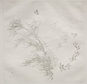 Pařížská služba (služba Haviland): The Storm (č. 8) od Felix Bracquemond