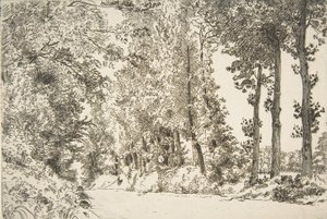 Rue des Bruyères, v Sèvres, 1868. od Felix Bracquemond