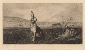 Zajíc Le Hare, 1865.
