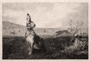 Zajíc podle A. de Balleroy, 1865. od Felix Bracquemond