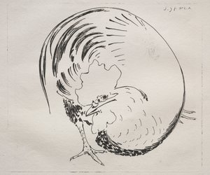 High-Fired Service: Rooster counterproof, c. 1860. od Felix Bracquemond