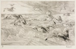 Rackové, c. 1880. od Felix Bracquemond