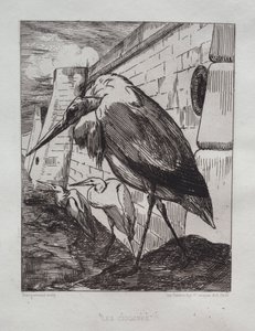 Čápi, 1865. od Felix Bracquemond