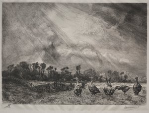 Bouřkový mrak od Felix Bracquemond