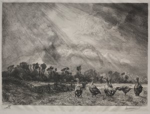 Bouřkový mrak, 1878-1887. od Felix Bracquemond