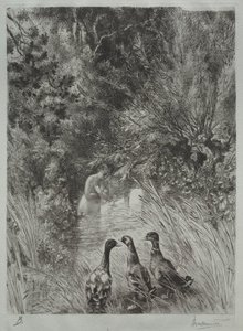 Překvapené kachny od Felix Bracquemond