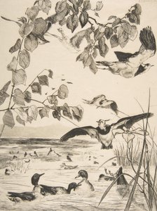 Čejky a Sarcelles, 1862. od Felix Bracquemond