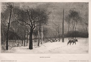 Zima od Felix Bracquemond