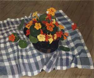 Mísa Nasturtiums od Felix Edouard Vallotton