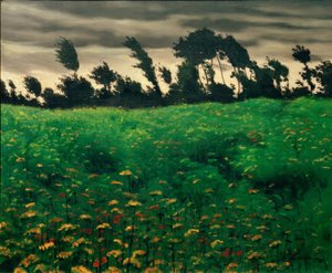 Květinové pole od Felix Edouard Vallotton