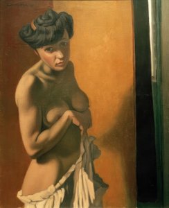 Žádné hnědé torzo od Felix Edouard Vallotton