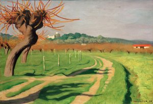Údolí Cagne od Felix Edouard Vallotton