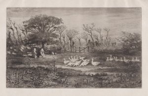 Husy, 1860-98. od Felix Hilaire Buhot