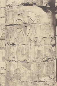 Karnak (Théby), palác--Hypostylová síň--Střední sloupořadí--Dekorace fut, 1853 (foto) od Félix Teynard