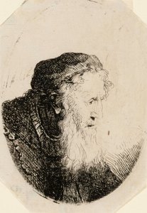 Starý muž s vlajícím plnovousem od Ferdinand Bol