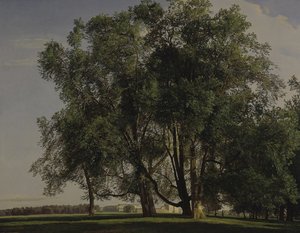 Krajina v Prateru od Ferdinand Georg Waldmüller