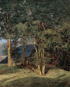 Javory u Ischlu od Ferdinand Georg Waldmuller
