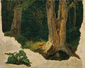 studie stromů od Ferdinand Georg Waldmuller