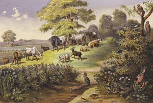 Červenec (barevná litografie)