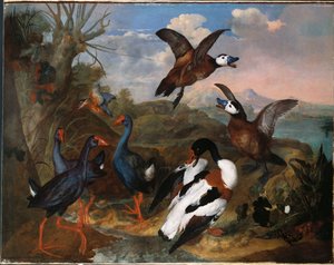Shell Ducks and other Fowl in a Landscape, 1720