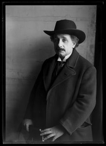 Obrázek Alberta Einsteina (1879-1955)