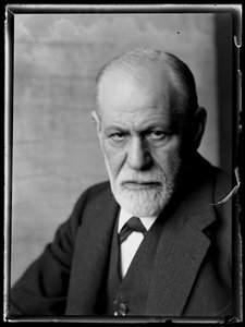 Obrázek Sigmunda Freuda (1856-1939)