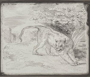 Tygr v pasti, 1854. od Ferdinand Victor Eugene Delacroix