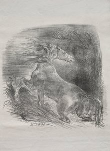 Divoký kůň aneb Splašený kůň opouštějící vodu, 1828. od Ferdinand Victor Eugene Delacroix