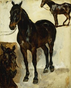 Tři studie o koních; Tři studie o koních, c.1823 od Ferdinand Victor Eugene Delacroix
