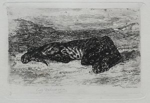 Tygr ležící v poušti. od Ferdinand Victor Eugene Delacroix