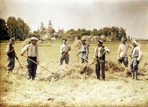 Osm příslušníků 143. pěší divize francouzské armády vyrábí seno, Soissons, Aisne, Francie, 1917 (autochrom) od Fernand Cuville
