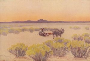 Arizona afterglow (barevná litografie) od Fernand Lungren