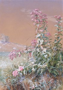 Bez názvu, 1876.
