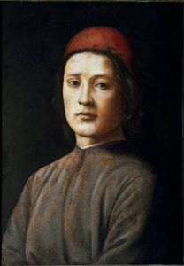 Portrét mladého muže s červeným kloboukem Obraz od Filipínce Lippiho (1457-1504) Florencie 15. století, Galleria degli Uffizi (kanceláře) od Filippino Lippi