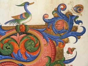 Misál 515 f.92v Zoomorfní listí s kachním ptákem a motýlem, detail výzdoby kolem historické iniciály ze sborové knihy provedené před rokem 1449 pergamenem