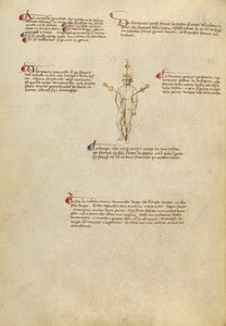 Zaměřovací body na těle od Fiore Furlan dei Liberi da Premariacco