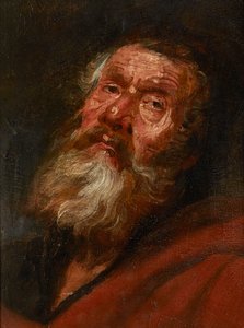 Náčrt hlavy apoštola (olej na papíře položeném na plátno, položený na dubovém panelu) od Flemish School