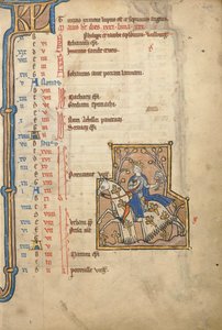 MS 14 f.5, květen: Hawking, kolem 1250 od Flemish School