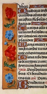 Ms. 1058-1975, f.16r: detail květinového okraje z Knihy hodin, cca 1500 (vellum) od Flemish School