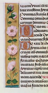 Ms. 1058-1975, f.34v: detail květinového okraje z Knihy hodin, cca 1500 od Flemish School