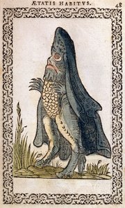 Mořský biskup nebo mořská příšera, ilustrace z knihy Zvyky a portréty téměř všech národů a současných národů od Jeana Sluperjiho, Antverpy, 1572 (barevný dřevoryt) od Flemish School
