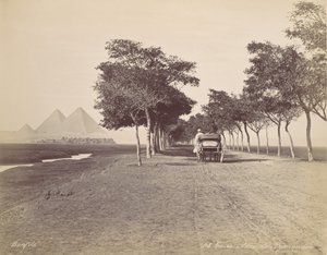 Káhira. Alej pyramid, ca. 1870. od Félix Bonfils