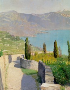 Krajina u jezera od Chexbresu od Félix Vallotton