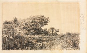 Edge of Marsh v Couronne, 1863. od Félix Ziem