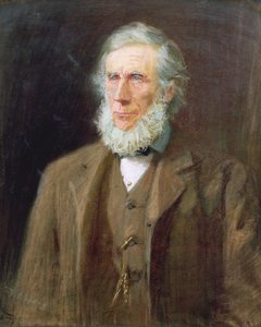 Portrét Johna Tyndalla (1820-93) (pastel na papíře)
