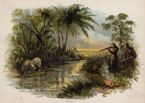 Scéna ze švýcarské rodiny Robinson: lov lva (chromolitho) od Florence Maplestone